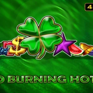 40 Burning Hot 6 Reels