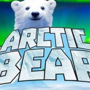 Arctic Bear