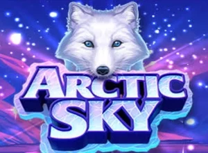 Arctic Sky