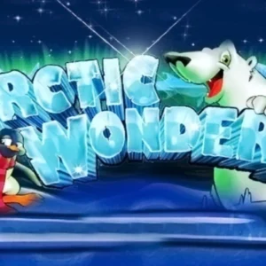 Arctic Wonders