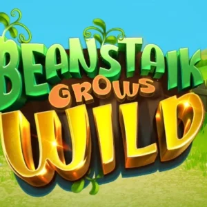 Beanstalk Grows Wild