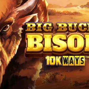 Big Bucks Bison 10K Ways