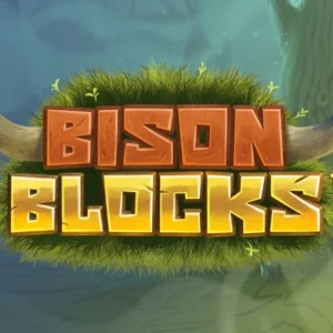 Bison Blocks