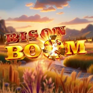 Bison Boom