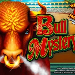 Bull Mystery