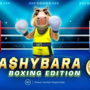 Cashybara Boxing Edition