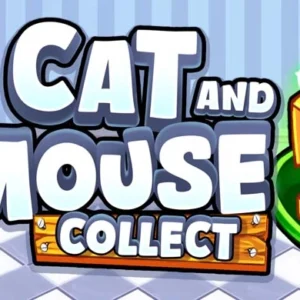 Cat and Mouse: Collect