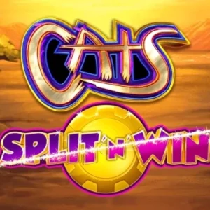 Cats Split 'n' Win