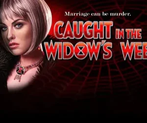 Caught In The Widow's Web