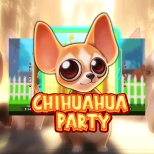 Chihuahua Party