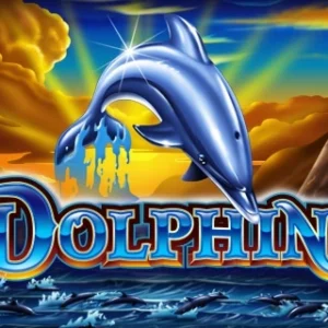 Dolphins