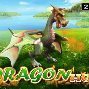 Dragon Hot
