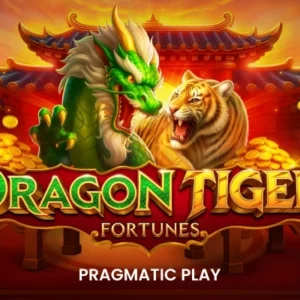 Dragon Tiger Fortunes