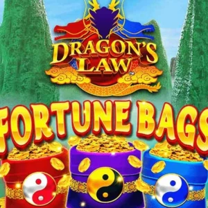 Dragon's Law Fortune Bags