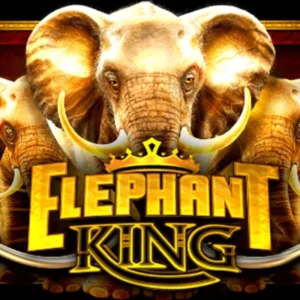 Elephant King