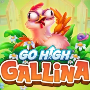 Go High Gallina