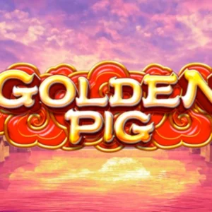 Golden Pig