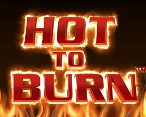 Hot to Burn