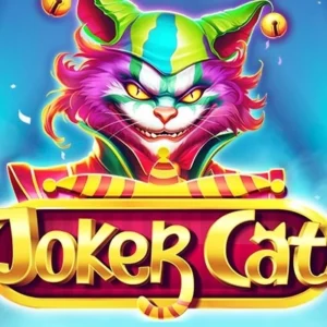 Joker Cat