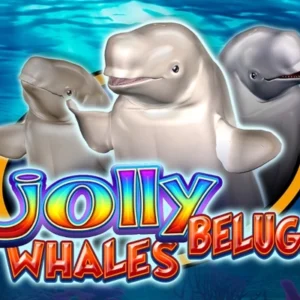 Jolly Beluga Whales