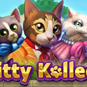 Kitty Kollect