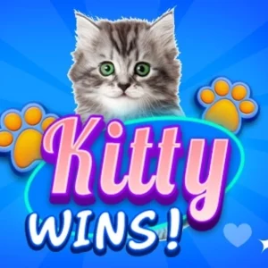 Kitty Wins