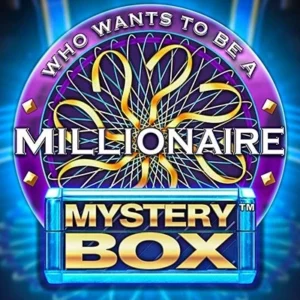 Millionaire Mystery Box