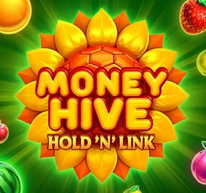 Money Hive Hold 'N' Link