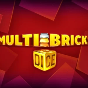 Multi Bricks Dice