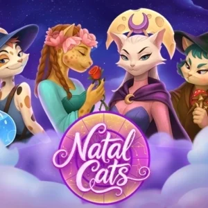 Natal Cats
