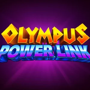 Olympus Power Link