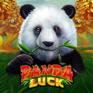 Panda Luck