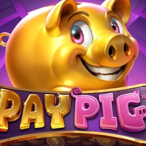 Pay Pig