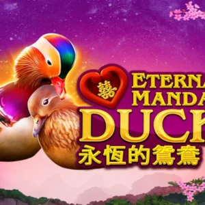 Power Prizes - Eternal Mandarin Ducks