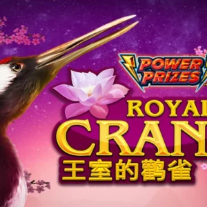 Power Prizes - Royal Crane