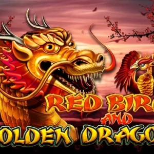 Red Bird and Golden Dragon