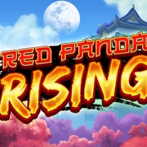 Red Panda Rising
