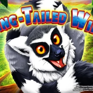 Ring-Tailed Wilds