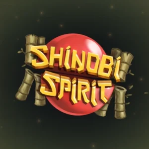 Shinobi Spirit