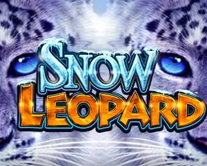 Snow Leopard