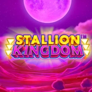 Stallion Kingdom