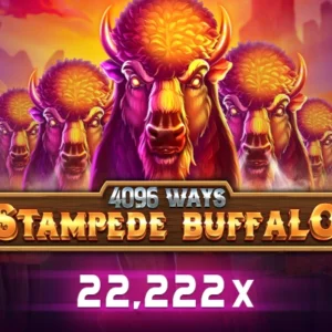 Stampede Buffalo