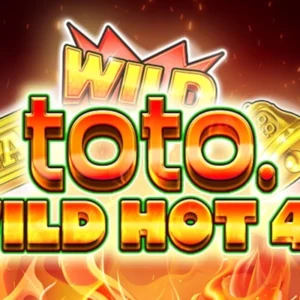 Toto Wild Hot 40