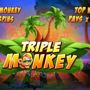 Triple Monkey