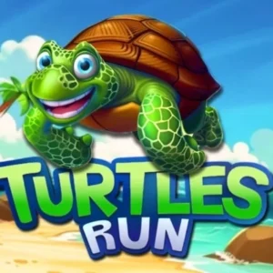 Turtles Run