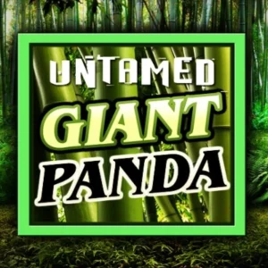Untamed Giant Panda