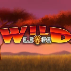 Wild Lion Super Reels