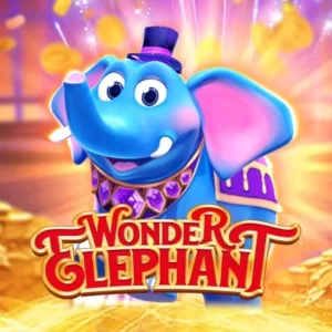 Wonder Elephant